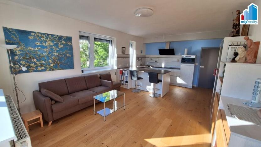 Prodej bytu 2+kk, Plasy, 56 m2