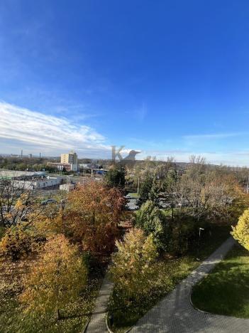 Pronájem bytu 1+kk, Ostrava, Hornopolní, 33 m2