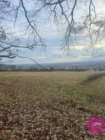 Prodej louky, Bělkovice-Lašťany, 27123 m2