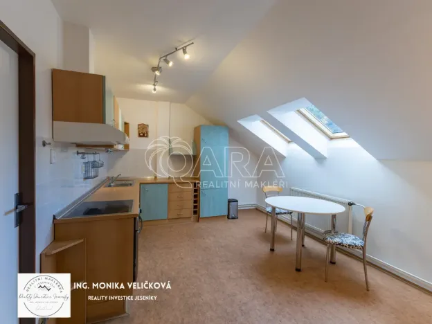 Prodej bytu 4+1, Vrbno pod Pradědem - Železná, 135 m2