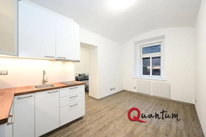 Pronájem bytu 1+1, Praha - Podolí, Sinkulova, 27 m2