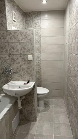 Pronájem bytu 1+1, Děčín - Děčín VI-Letná, 43 m2