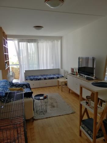 Pronájem bytu 1+kk, Olomouc - Hodolany, Kavaleristů, 26 m2