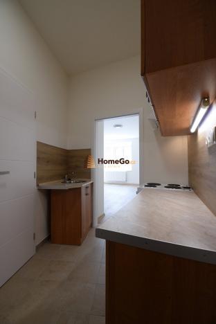 Pronájem bytu 1+kk, Praha - Nusle, Žateckých, 33 m2