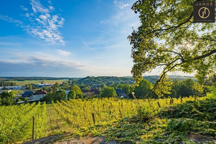 Prodej rodinného domu, Benátky nad Jizerou - Benátky nad Jizerou II, Kalistova, 190 m2