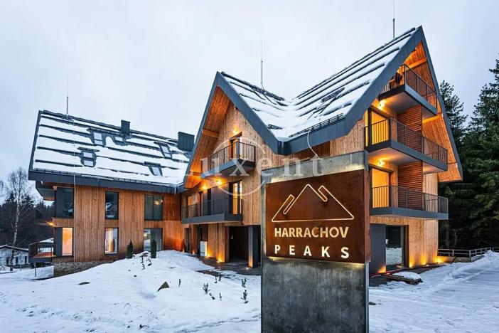 Prodej bytu 1+kk, Harrachov, 80 m2