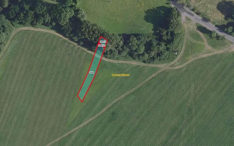 Prodej louky, Brodce, 1018 m2
