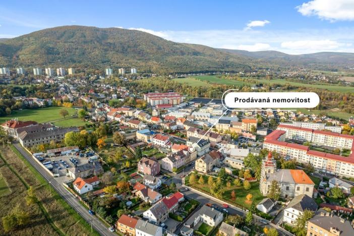 Prodej vícegeneračního domu, Osek, K. H. Borovského, 452 m2