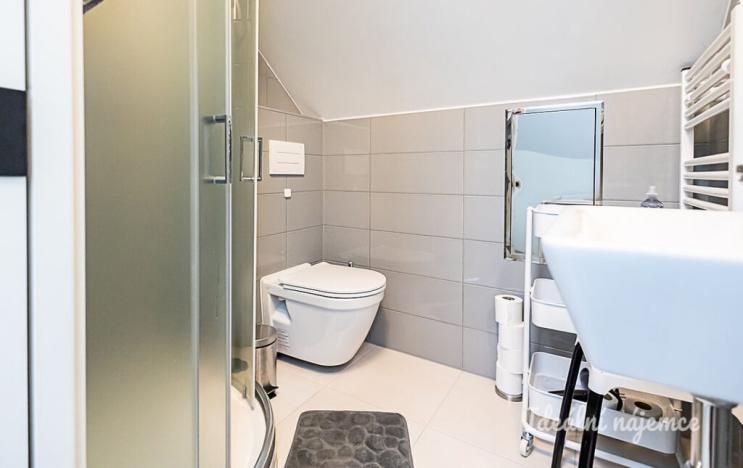 Pronájem bytu 1+kk, Praha - Hloubětín, Konzumní, 18 m2