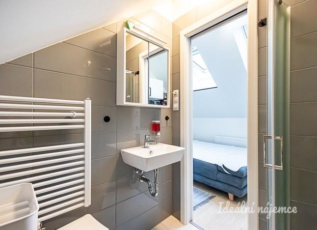 Pronájem bytu 1+kk, Praha - Hloubětín, Konzumní, 18 m2