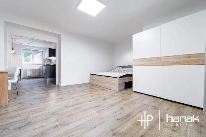 Pronájem bytu 1+1, Prostějov, Českobratrská, 45 m2