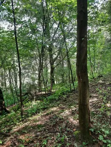 Prodej pozemku, Dolní Zimoř, 1049 m2