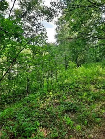 Prodej pozemku, Dolní Zimoř, 1049 m2