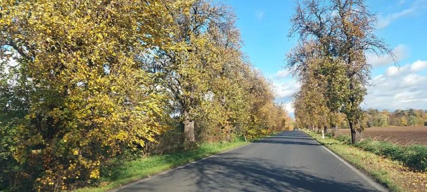 Prodej komerčního pozemku, Měšice, 2035 m2