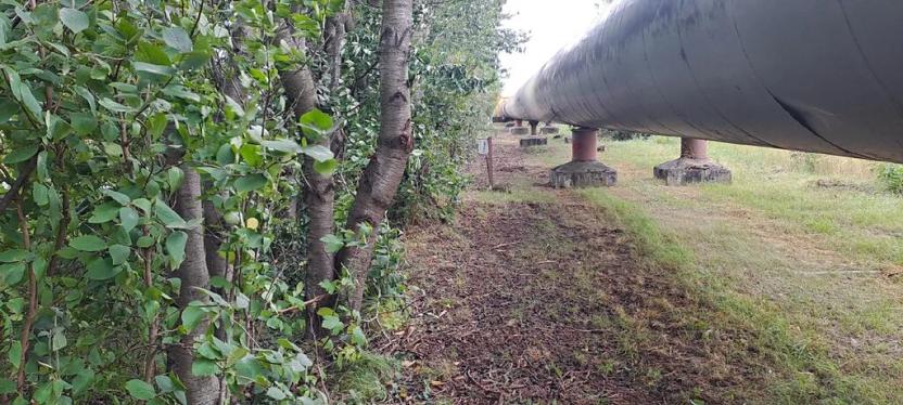 Prodej komerčního pozemku, Měšice, 2035 m2