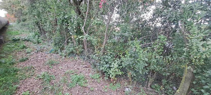 Prodej komerčního pozemku, Měšice, 2035 m2