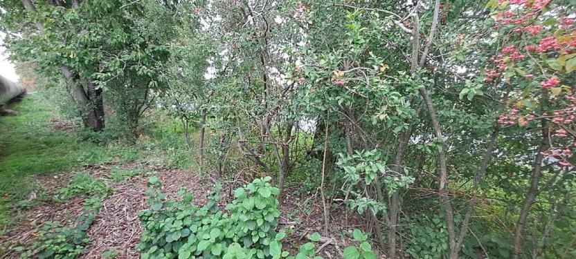 Prodej komerčního pozemku, Měšice, 2035 m2