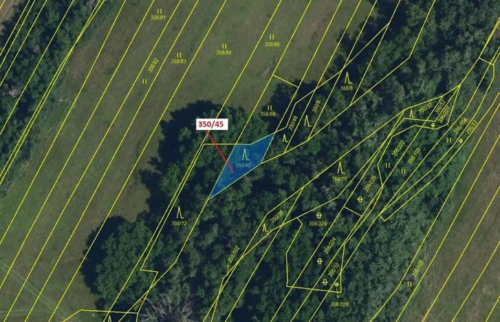 Dražba lesa, Ivančice, 183 m2