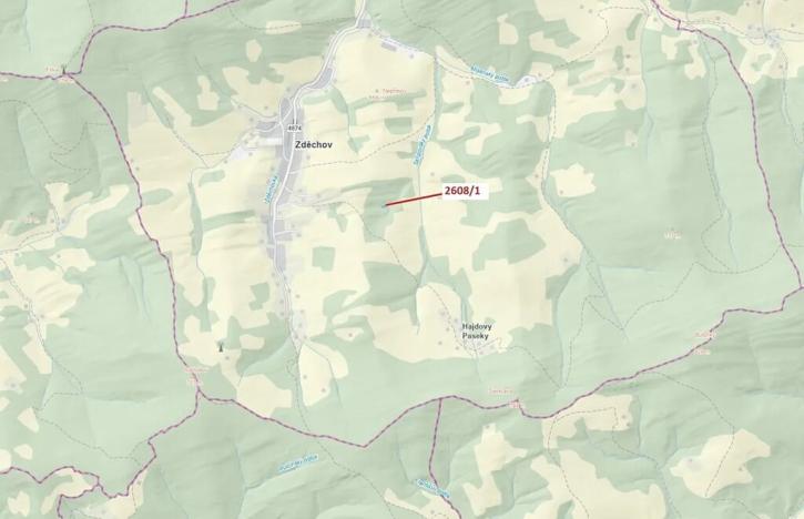 Dražba lesa, Zděchov, 481 m2