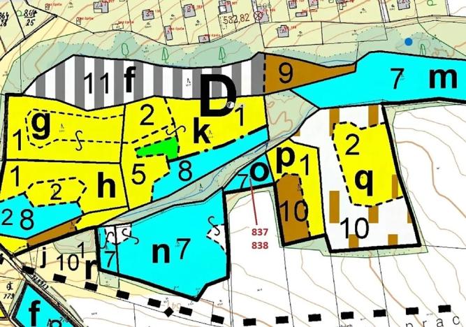 Dražba lesa, Pačejov, 999 m2