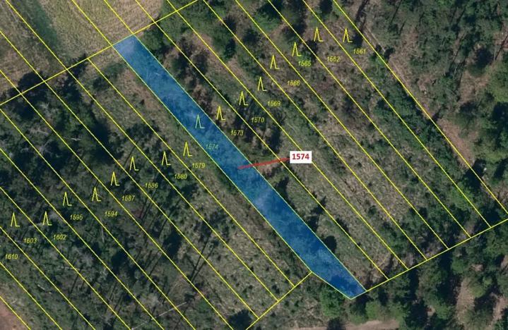 Dražba lesa, Březník, 885 m2