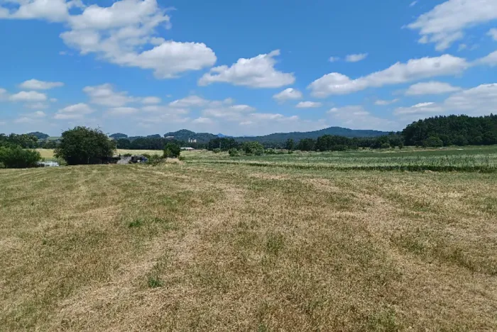Dražba pozemku, Jestřebí, 13769 m2