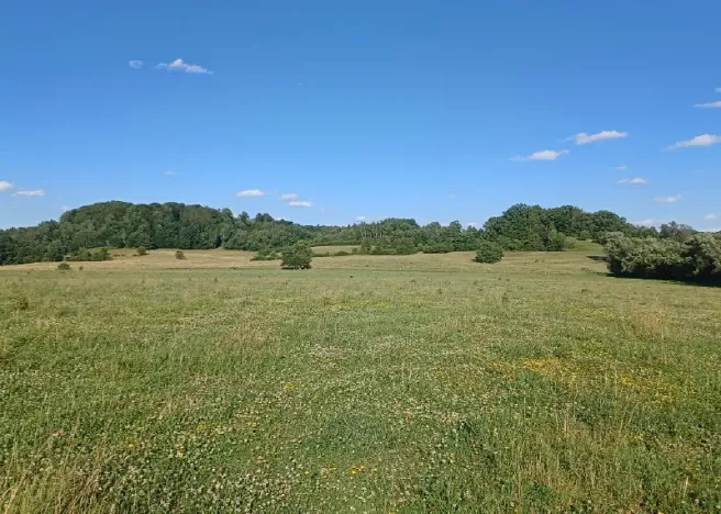 Dražba pozemku, Bohatice, 781 m2