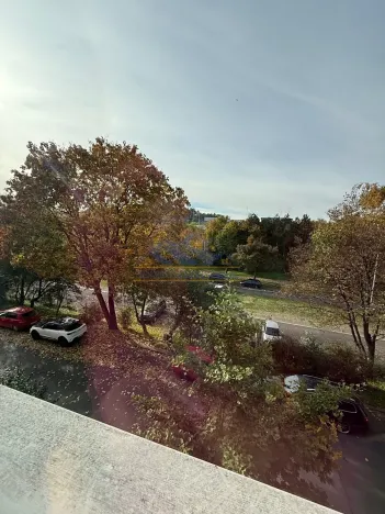 Prodej bytu 1+1, Praha - Braník, Na Mlejnku, 52 m2