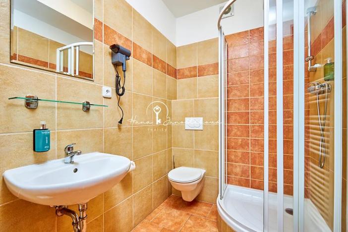 Prodej ubytování, Český Krumlov, Rooseveltova, 270 m2