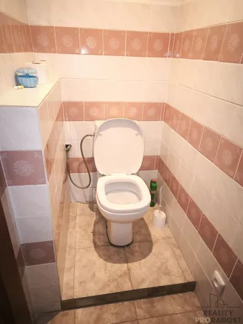 Prodej chalupy, Nová Ves v Horách, 284 m2