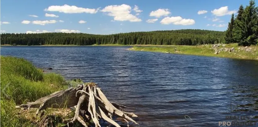 Prodej chalupy, Nová Ves v Horách, 284 m2