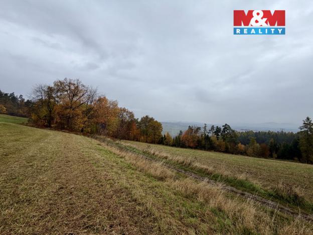 Prodej lesa, Jestřebí, 6855 m2