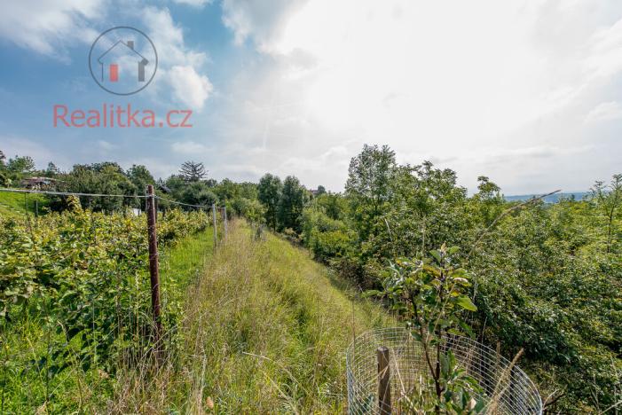 Prodej pozemku pro bydlení, Kly, 3274 m2