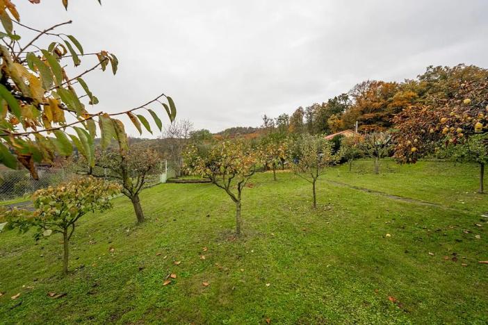 Prodej chaty, Dolany nad Vltavou, V Borovičkách, 48 m2