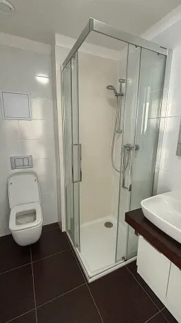 Pronájem bytu 1+kk, Brno, Lidická, 21 m2