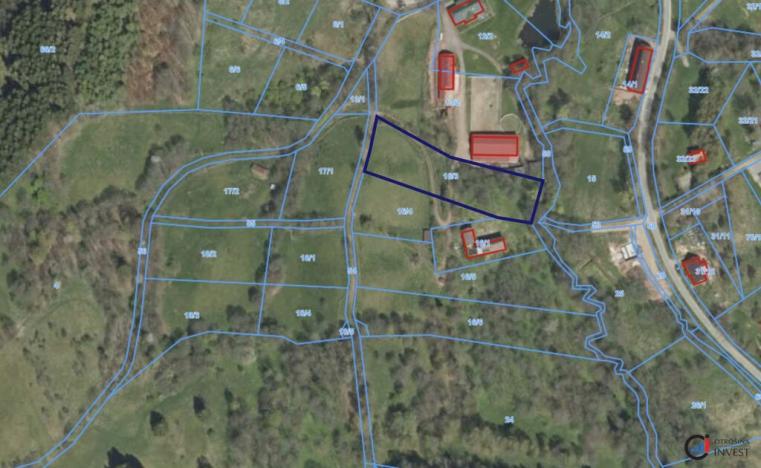 Prodej pozemku pro bydlení, Olešnice v Orlických horách, 3728 m2