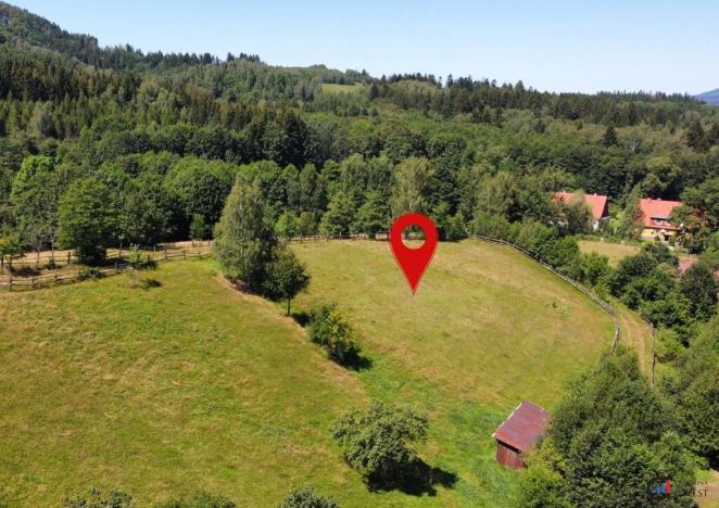 Prodej pozemku pro bydlení, Olešnice v Orlických horách, 2456 m2