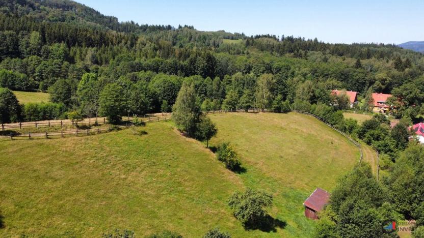 Prodej pozemku pro bydlení, Olešnice v Orlických horách, 2456 m2