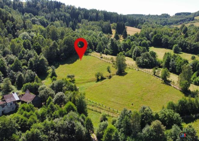 Prodej pozemku pro bydlení, Olešnice v Orlických horách, 4589 m2