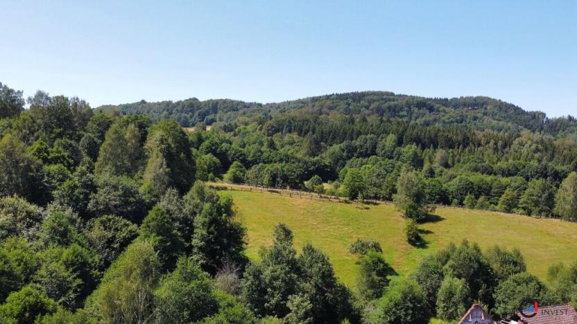 Prodej pozemku pro bydlení, Olešnice v Orlických horách, 4589 m2