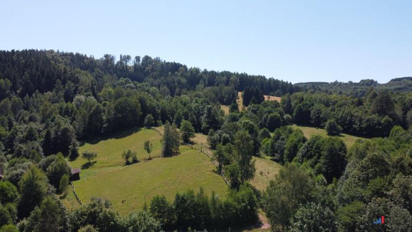 Prodej pozemku pro bydlení, Olešnice v Orlických horách, 2839 m2