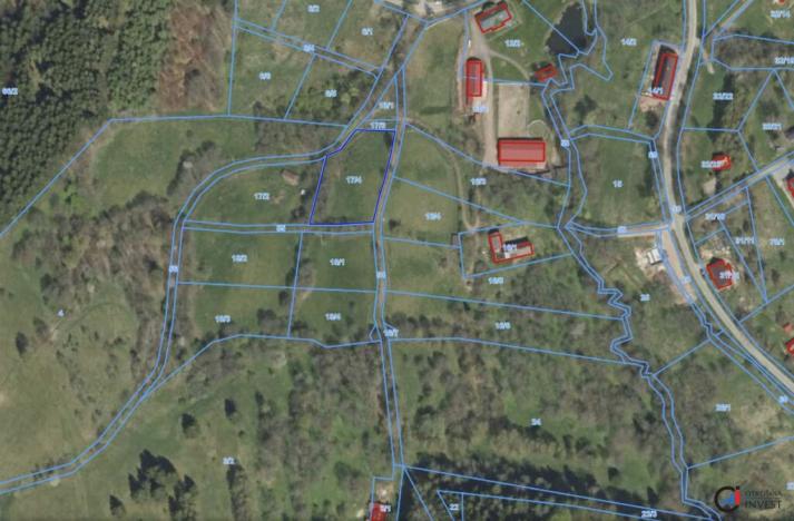 Prodej pozemku pro bydlení, Olešnice v Orlických horách, 2839 m2