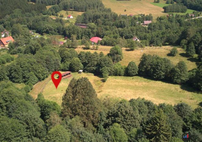 Prodej pozemku pro bydlení, Olešnice v Orlických horách, 3118 m2