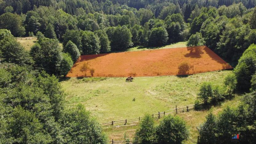 Prodej pozemku pro bydlení, Olešnice v Orlických horách, 3027 m2