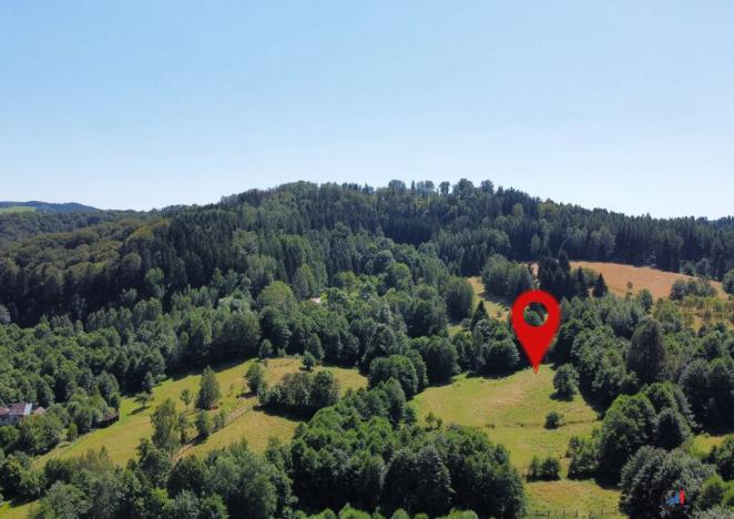 Prodej pozemku pro bydlení, Olešnice v Orlických horách, 3446 m2