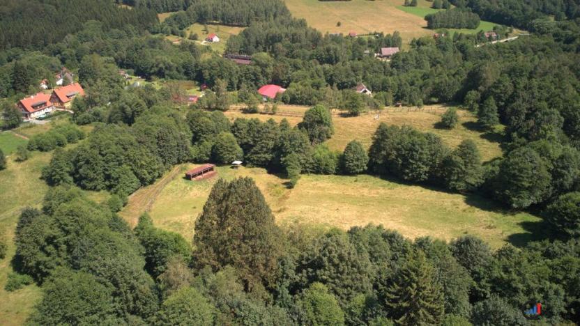 Prodej pozemku pro bydlení, Olešnice v Orlických horách, 3446 m2