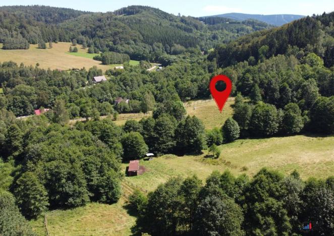 Prodej pozemku pro bydlení, Olešnice v Orlických horách, 2065 m2