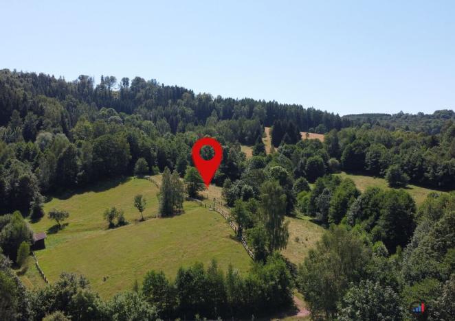 Prodej pozemku pro bydlení, Olešnice v Orlických horách, 2065 m2