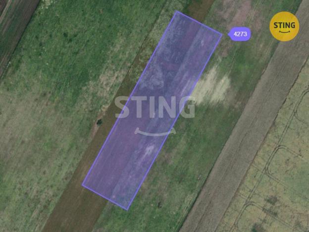 Prodej pole, Moravský Žižkov, 9180 m2