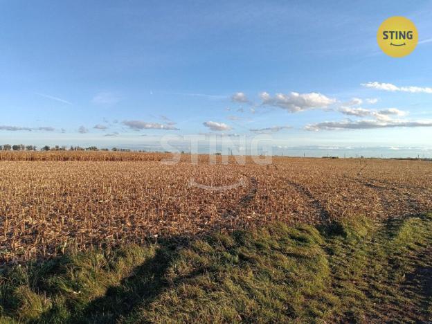 Prodej pole, Moravský Žižkov, 9180 m2